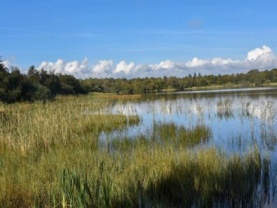 Holiday house 4 Sterne Ferienhaus in Ansager-By Traum - Outdoor photo 22