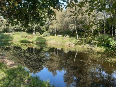 Holiday house Seeblick-Perle in Skarrild -- By Traum Ferienwohnungen - Outdoor photo 3