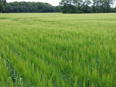 Holiday house Seeblick-Perle in Skarrild -- By Traum Ferienwohnungen - Outdoor photo 4