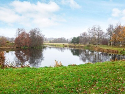 Holiday house Seeblick-Perle in Skarrild -- By Traum Ferienwohnungen - Outdoor photo 12