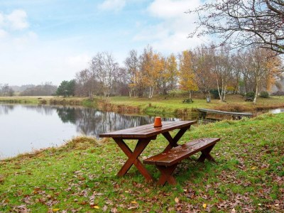 Holiday house Seeblick-Perle in Skarrild -- By Traum Ferienwohnungen - Outdoor photo 22