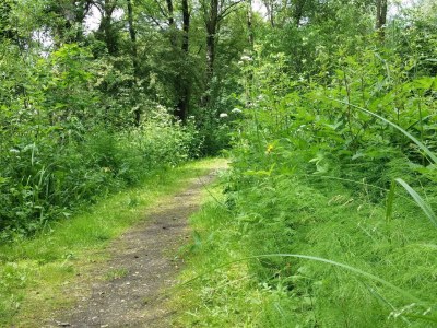 Holiday house Seeblick-Perle in Skarrild -- By Traum Ferienwohnungen - Outdoor photo 23