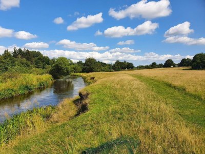 Holiday house Seeblick-Perle in Skarrild -- By Traum Ferienwohnungen - Outdoor photo 25