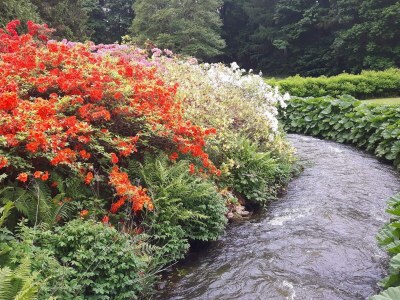 Holiday house Seeblick-Perle in Skarrild -- By Traum Ferienwohnungen - Outdoor photo 26