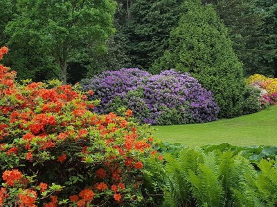 Holiday house Seeblick-Perle in Skarrild -- By Traum Ferienwohnungen - Outdoor photo 27