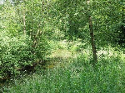 Holiday house Seeblick-Perle in Skarrild -- By Traum Ferienwohnungen - Outdoor photo 29
