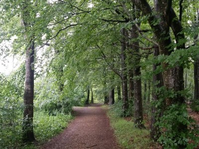 Holiday house Seeblick-Perle in Skarrild -- By Traum Ferienwohnungen - Outdoor photo 30