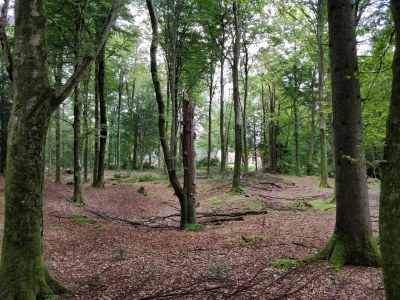 Holiday house Seeblick-Perle in Skarrild -- By Traum Ferienwohnungen - Outdoor photo 37