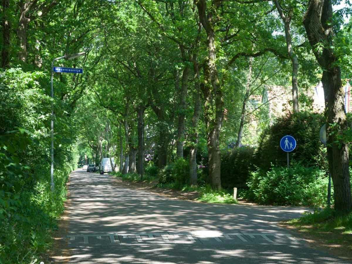 Holiday house De Schutse Bergen NH - Outdoor photo 5