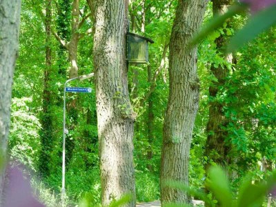 Holiday house De Schutse Bergen NH - Outdoor photo 6