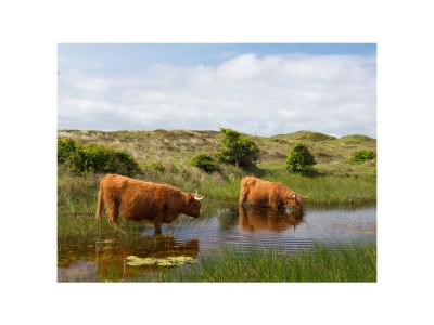 Holiday house De Schutse Bergen NH - Environment photo 20