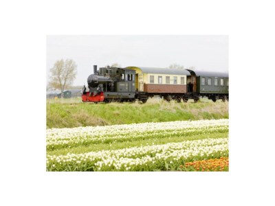 Holiday house De Schutse Bergen NH - Environment photo 24