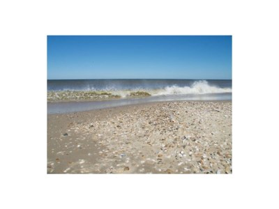 Holiday house De Schutse Bergen NH - Environment photo 25