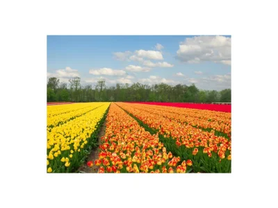 Holiday house De Schutse Bergen NH - Environment photo 29