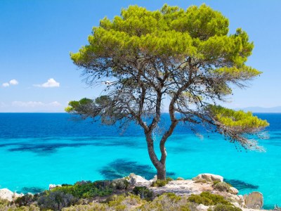 Holiday house Elisabeth - Environment photo 11