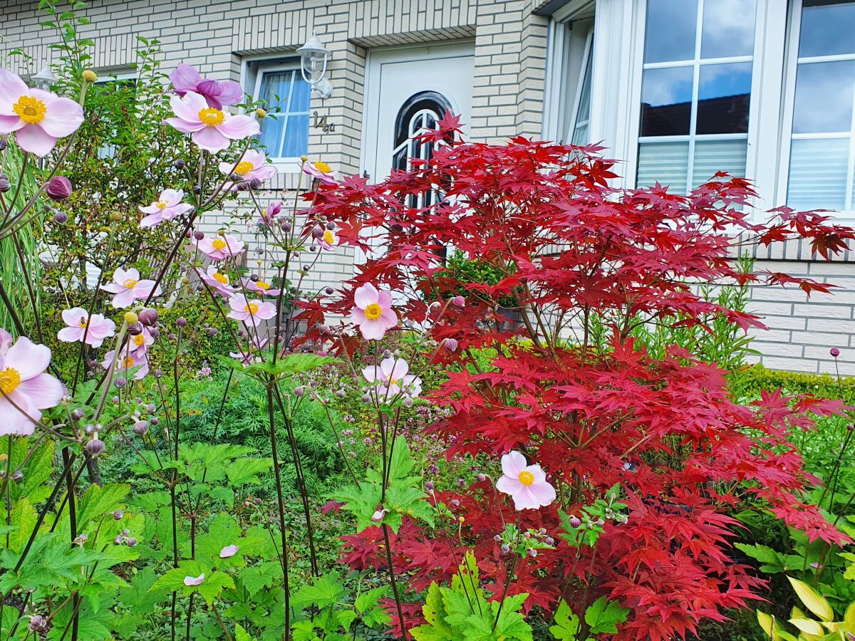 Holiday house Marlene - Outdoor photo 4
