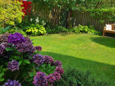 Holiday house Marlene - Features photo 36