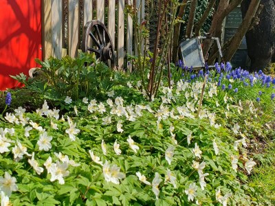 Holiday house Marlene - Features photo 41