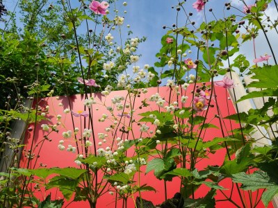 Holiday house Marlene - Features photo 43