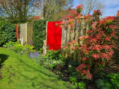 Holiday house Marlene - Features photo 44