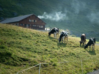 Apartment Alpenappartement Bergkönig - Outdoor photo 16