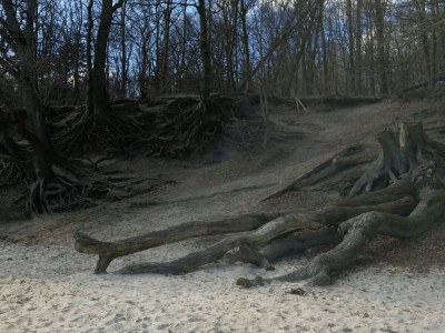 Holiday house 8 Personen Ferienhaus in Aabenraa-By Traum - Outdoor photo 35