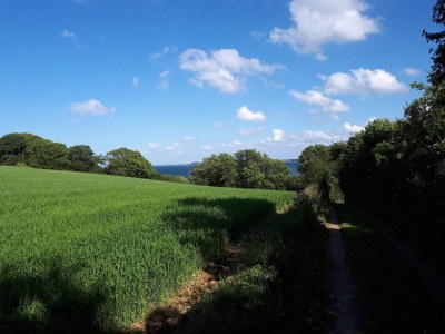 Holiday house 8 Personen Ferienhaus in Aabenraa-By Traum - Outdoor photo 36