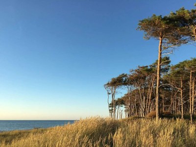 Holiday house Moderne Oase in Marielyst -- By Traum Ferienwohnungen - Outdoor photo 27