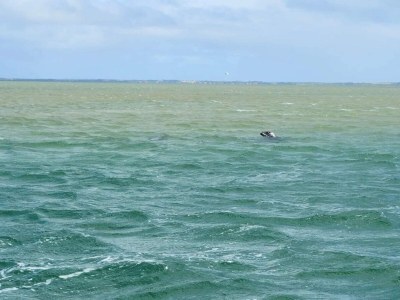 Holiday house Moderne Oase in Marielyst -- By Traum Ferienwohnungen - Outdoor photo 30