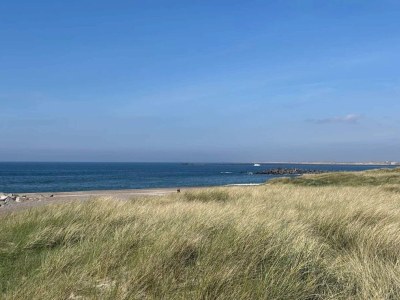 Holiday house Moderne Oase in Marielyst -- By Traum Ferienwohnungen - Outdoor photo 32