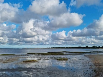 Holiday house Moderne Oase in Marielyst -- By Traum Ferienwohnungen - Outdoor photo 36