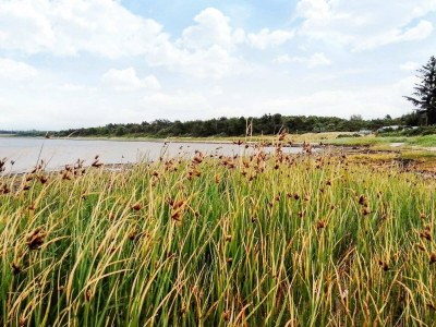 Holiday house 4 Sterne Ferienhaus in Farsø-By Traum - Outdoor photo 22