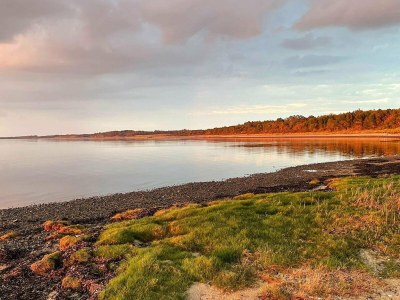 Holiday house 4 Sterne Ferienhaus in Farsø-By Traum - Outdoor photo 38