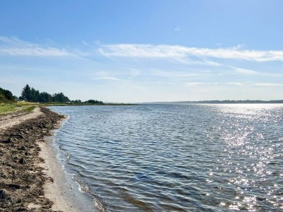Holiday house 4 Sterne Ferienhaus in Farsø-By Traum - Outdoor photo 39
