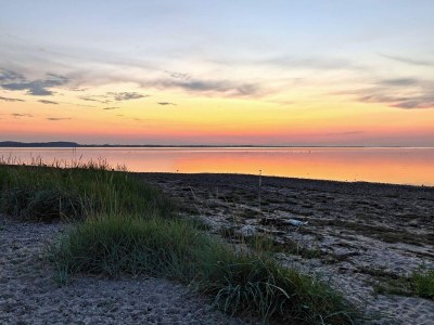 Holiday house 4 Sterne Ferienhaus in Farsø-By Traum - Outdoor photo 41