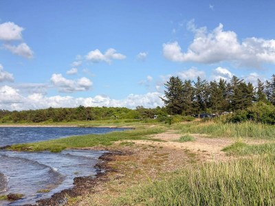 Holiday house 4 Sterne Ferienhaus in Farsø-By Traum - Outdoor photo 44