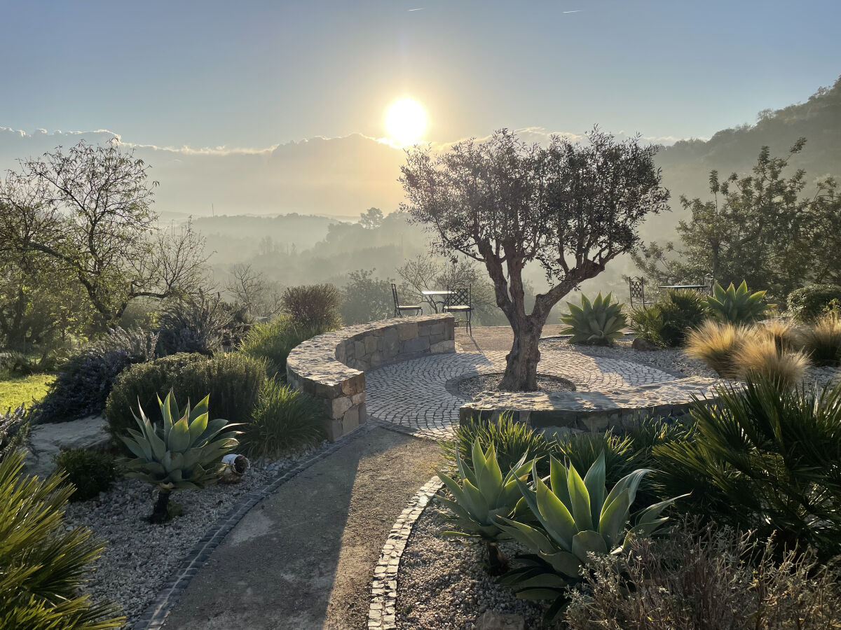 Holiday house Casa Olivia in Olive Valley