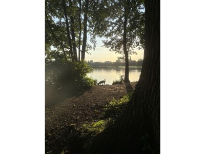 Holiday house Ferienhaus Winterswjik - Environment photo 38