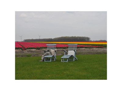 Holiday house Blue Barn Callantsoog - Environment photo 16