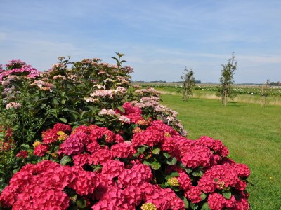 Holiday house Blue Barn Callantsoog - Environment photo 17
