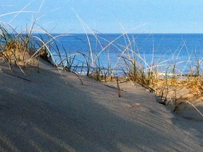 Holiday house Blue Barn Callantsoog - Environment photo 20