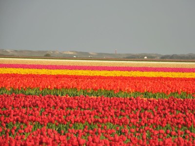 Holiday house Blue Barn Callantsoog - Environment photo 21