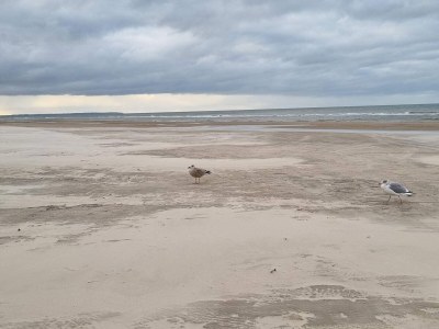 Holiday house 5 person holiday home in Løkken-By Traum - Outdoor photo 9