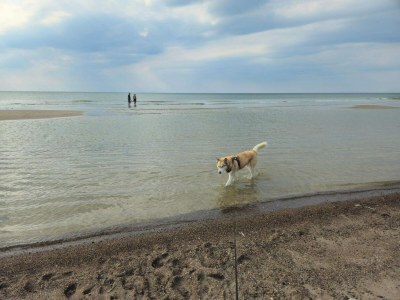 Holiday house 5 person holiday home in Løkken-By Traum - Outdoor photo 27