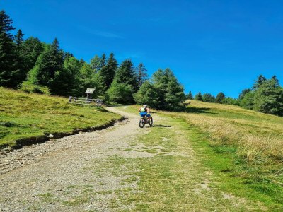 Chalet Almhütte in Murau nahe Skipiste - Environment photo 23