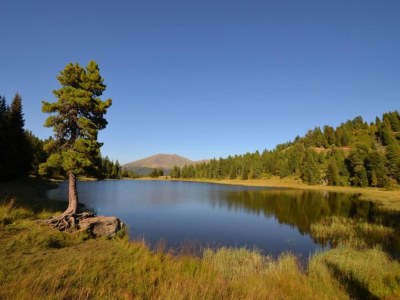 Chalet Almhütte in Murau nahe Skipiste - Environment photo 34