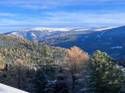 Chalet Almhütte in Murau nahe Skipiste - Environment photo 39