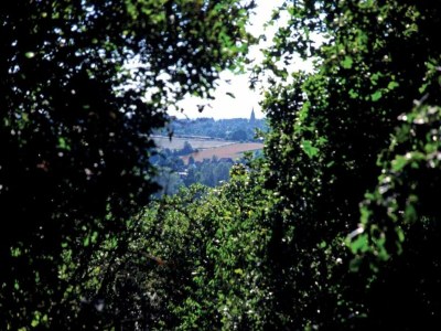 Holiday park Lodge in Arcen am Erholungssee - Environment photo 28