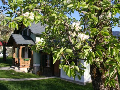 Holiday house Forstinger - Outdoor photo 3