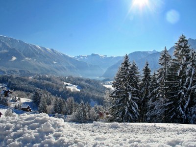 Holiday house Forstinger - Environment photo 13